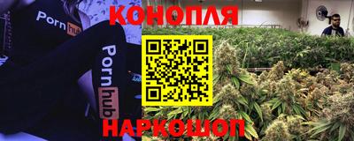 spice Обнинск