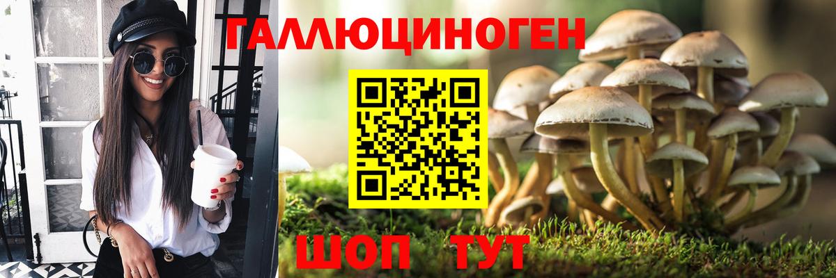 Каннабис  ГАШИШ  Вход с VPN  Скопин  МЕФ   ГАШ 